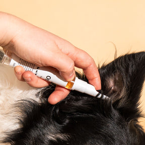 Otysan Fluid