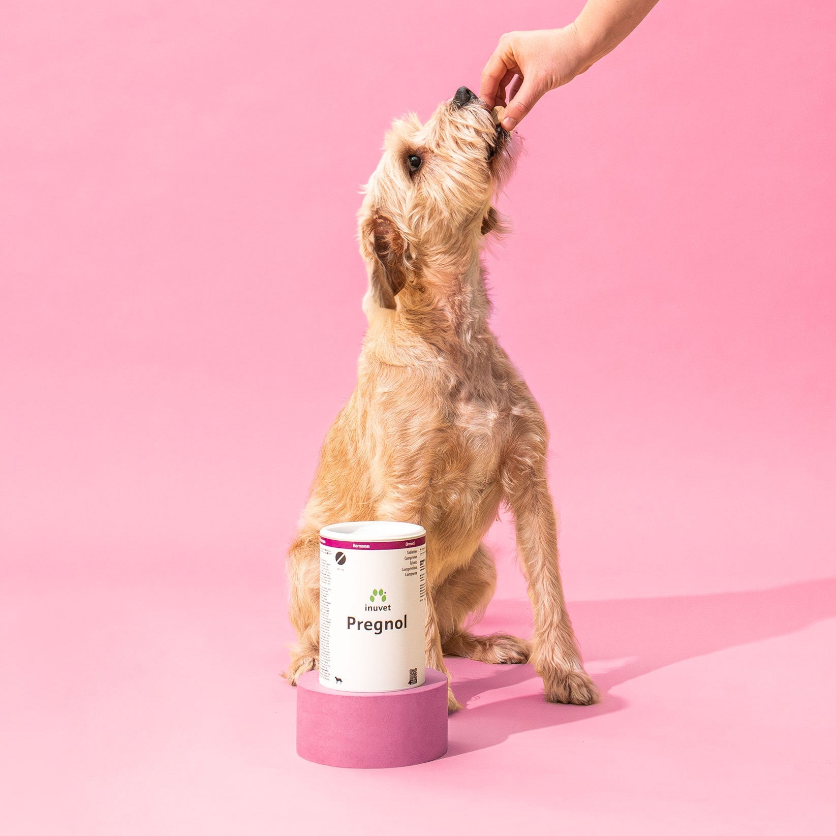 Pregnol