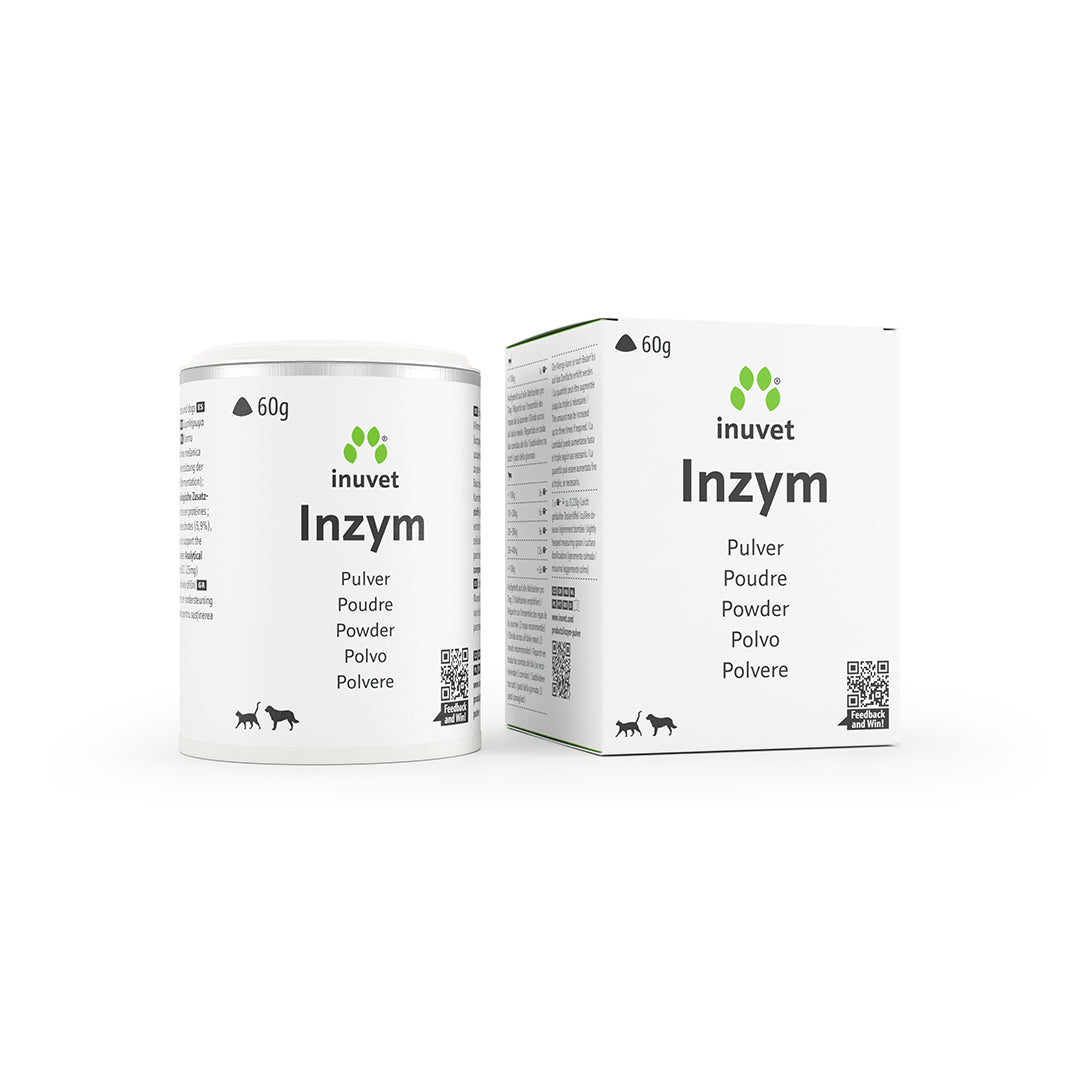 Inzym Pulver